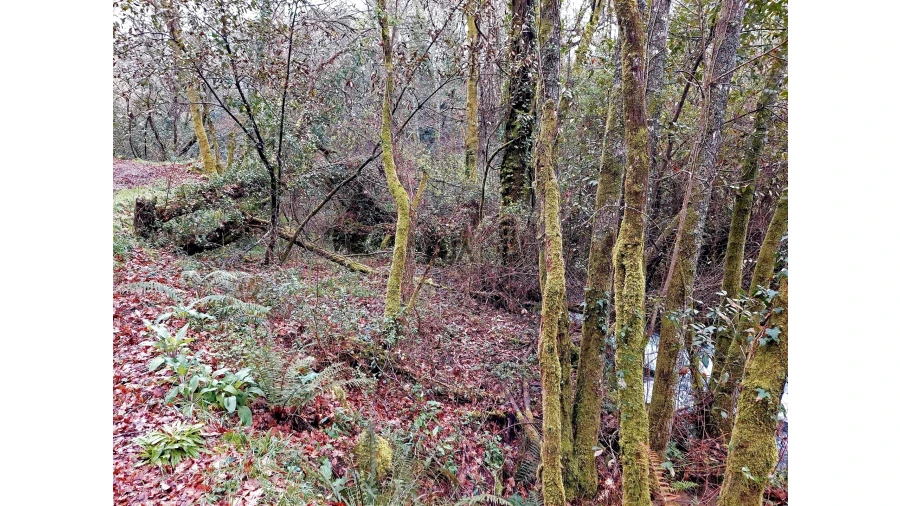 Moradia T1 para Venda em Bordonhos Foto 8