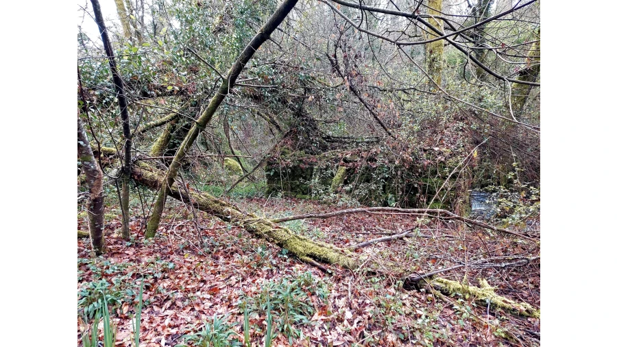 Moradia T1 para Venda em Bordonhos Foto 3