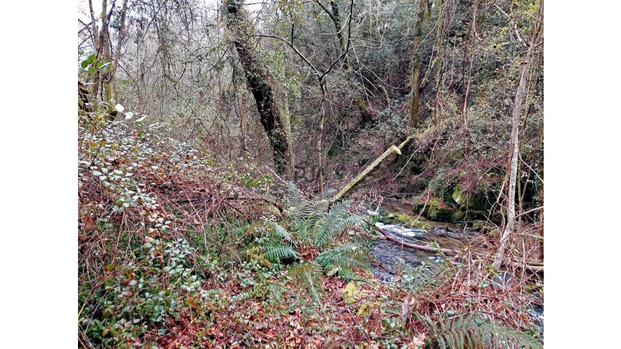 Moradia T1 para Venda em Bordonhos Foto 6