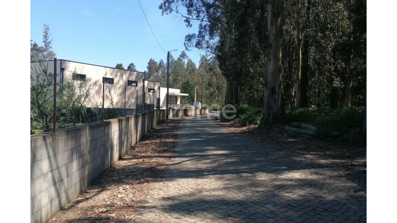 Terreno para Venda em Fradelos Foto 6