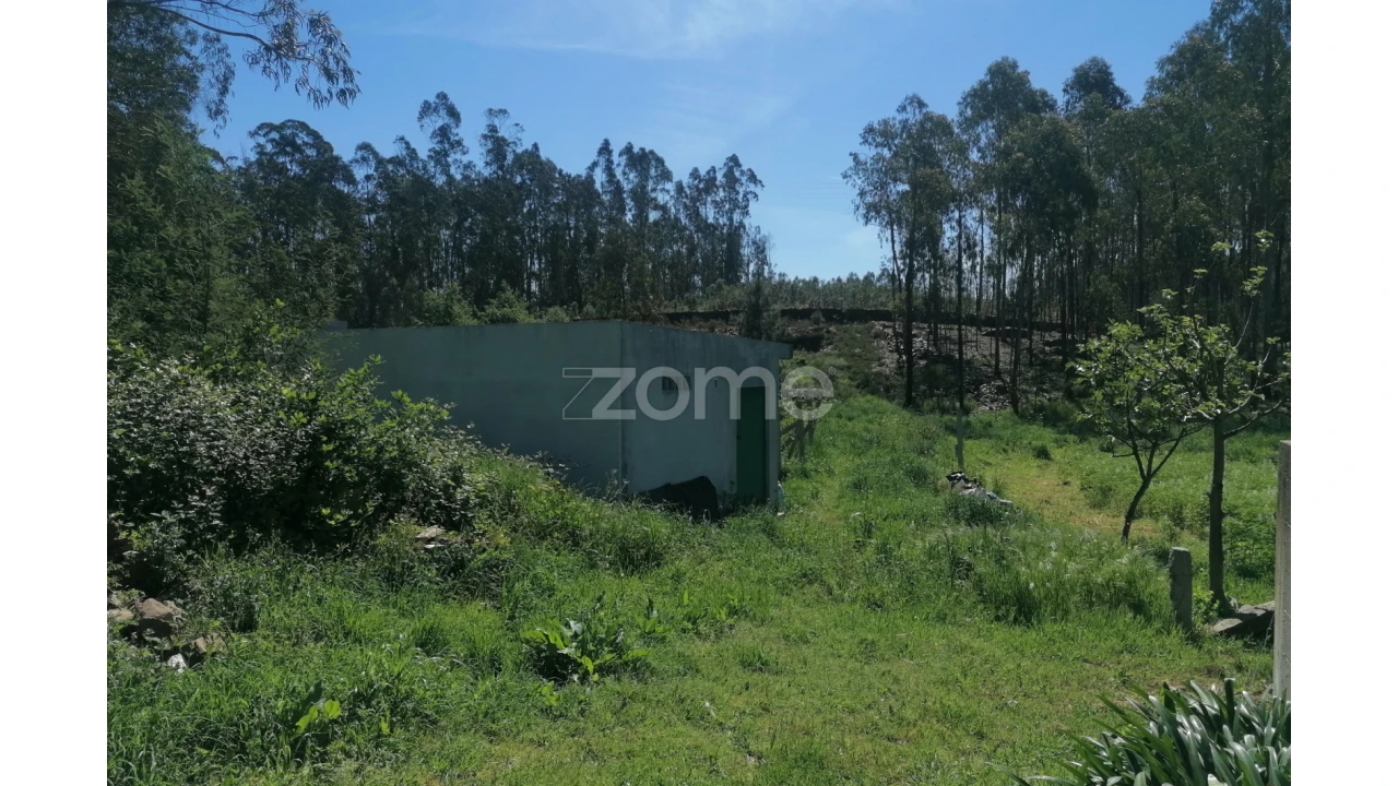 Terreno para Venda em Fradelos Foto 7