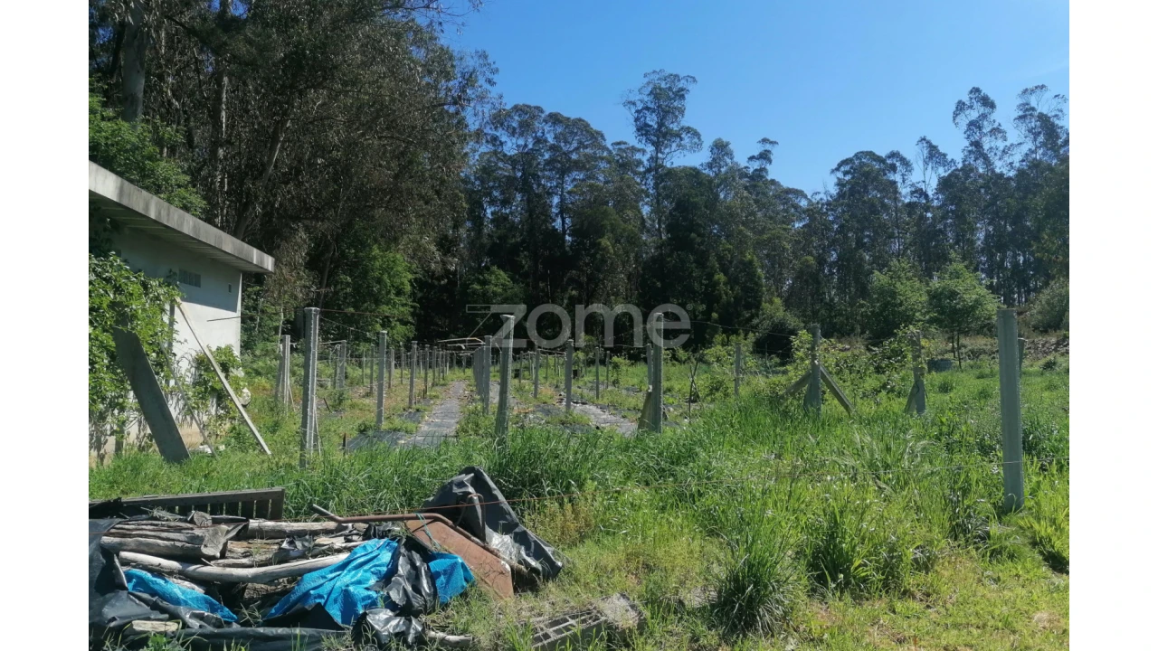 Terreno para Venda em Fradelos Foto 8