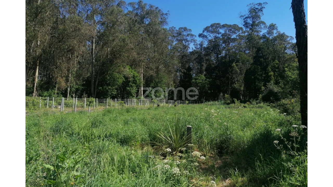 Terreno para Venda em Fradelos Foto 10