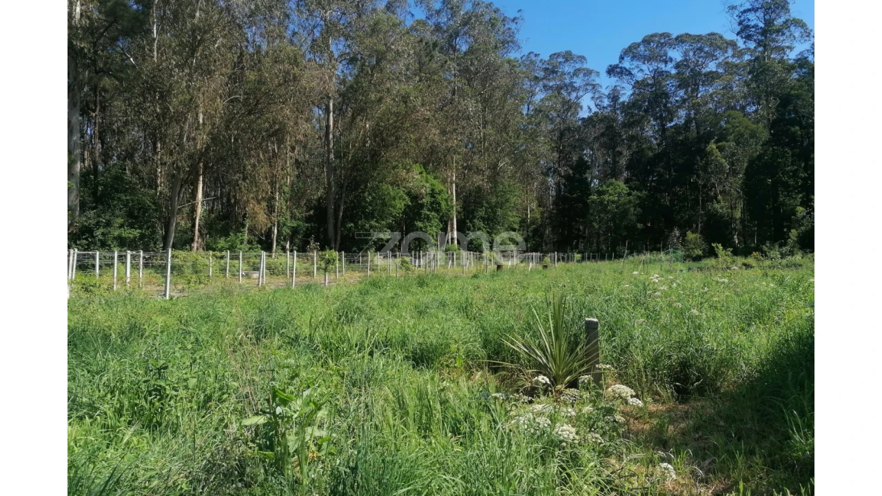 Terreno para Venda em Fradelos Foto 12