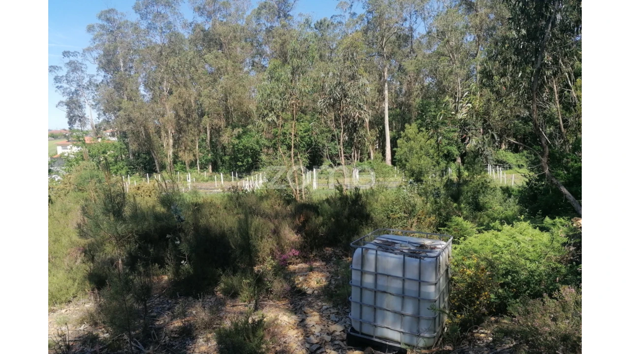 Terreno para Venda em Fradelos Foto 16
