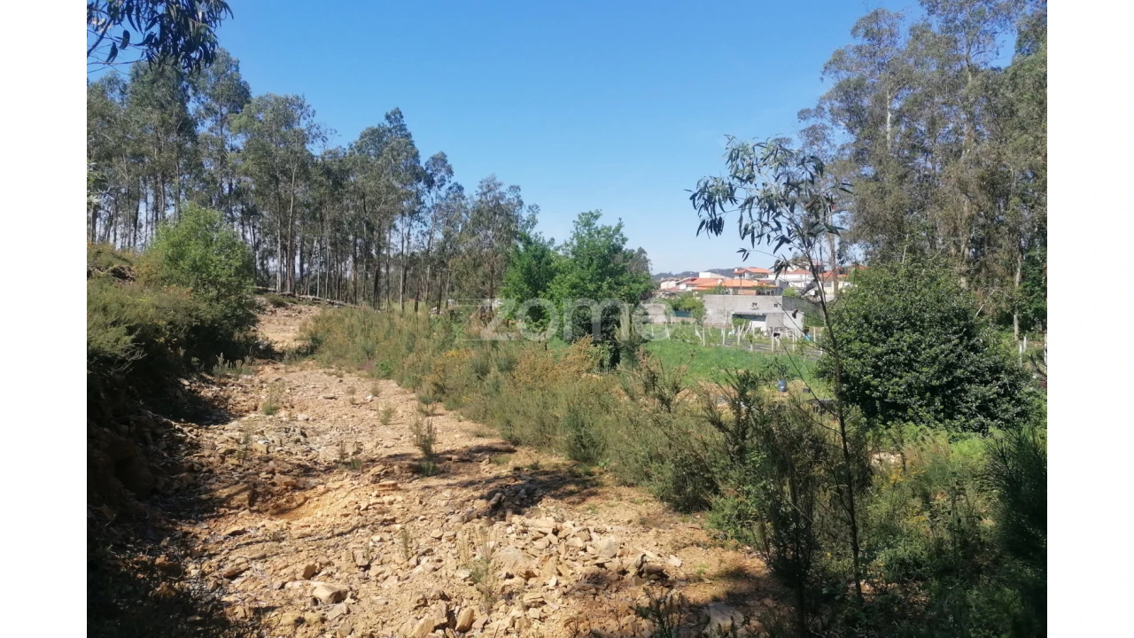 Terreno para Venda em Fradelos Foto 17