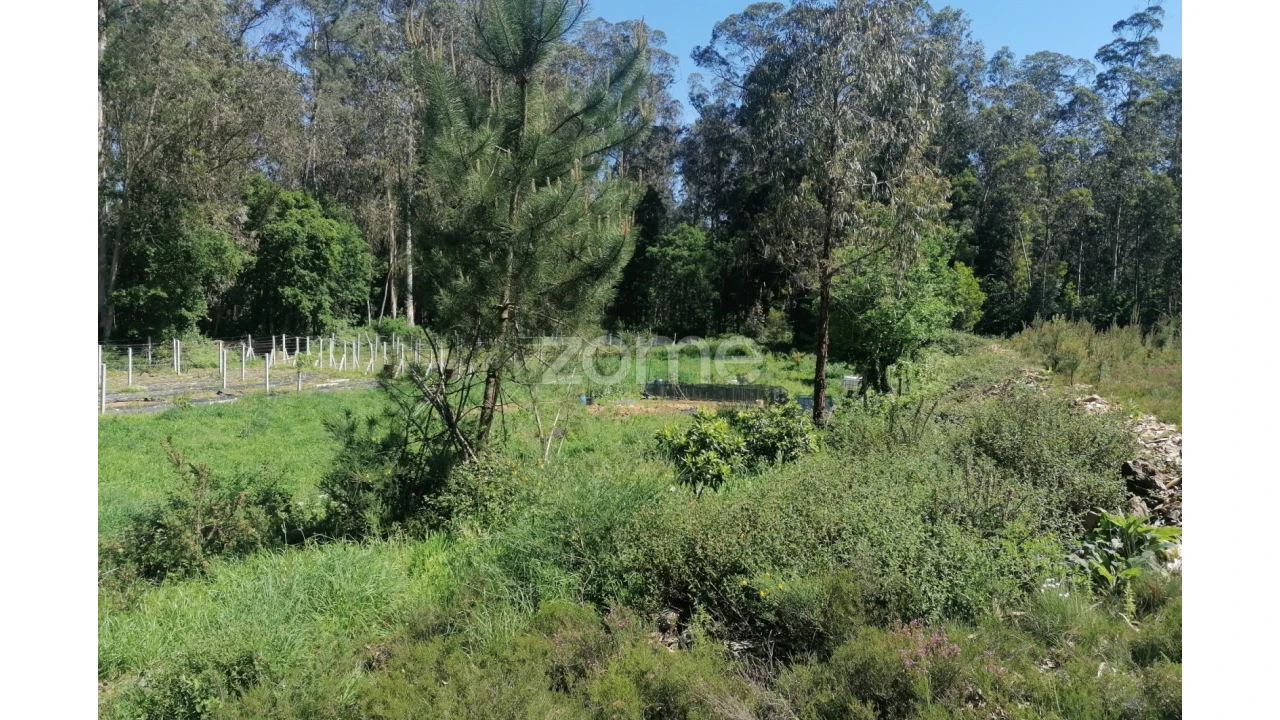 Terreno para Venda em Fradelos Foto 18