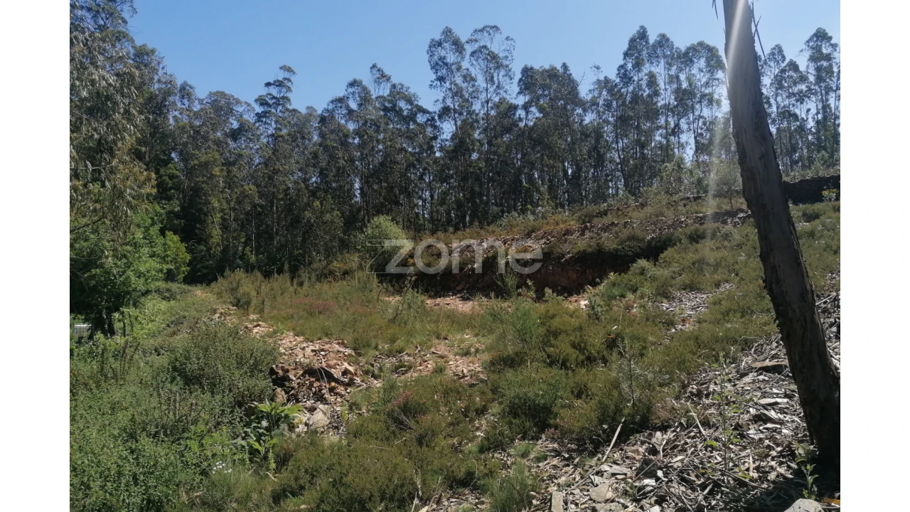 Terreno para Venda em Fradelos Foto 19