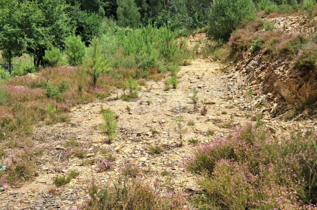 Terreno para Venda em Fradelos Foto 25
