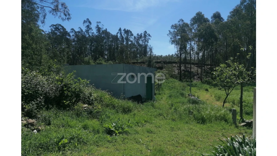 Terreno para Venda em Fradelos Foto 7