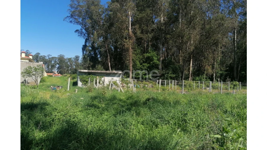 Terreno para Venda em Fradelos Foto 11