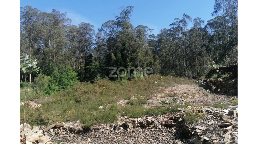 Terreno para Venda em Fradelos Foto 13