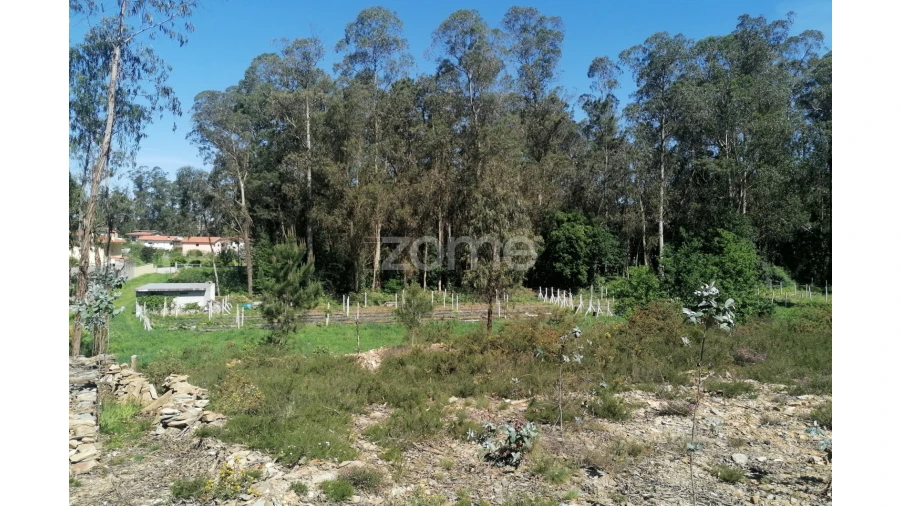 Terreno para Venda em Fradelos Foto 14