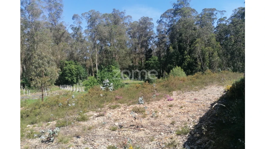 Terreno para Venda em Fradelos Foto 15