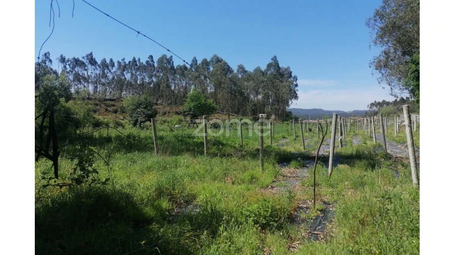Terreno para Venda em Fradelos Foto 22