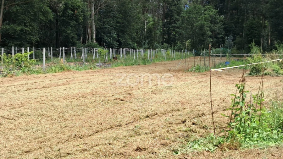 Terreno para Venda em Fradelos
