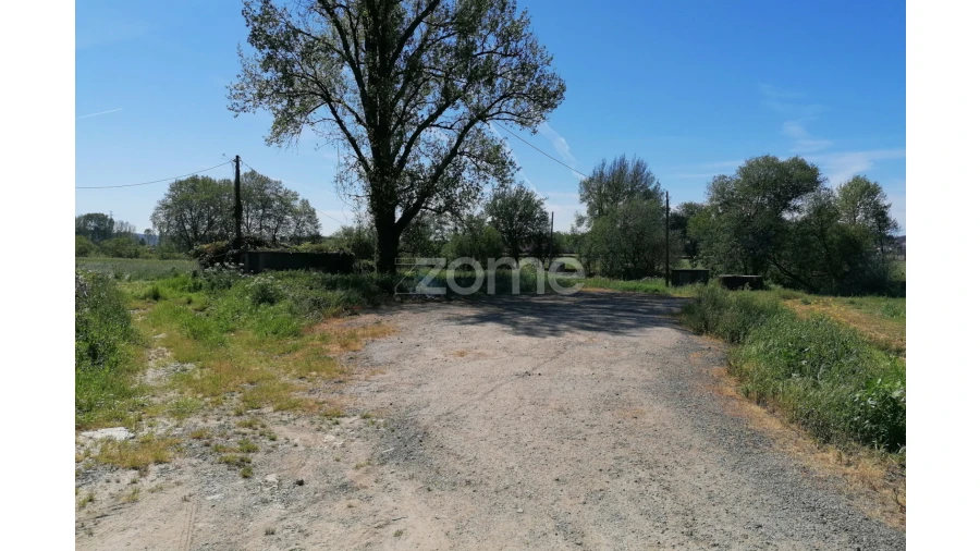 Terreno para Venda em Fradelos Foto 12