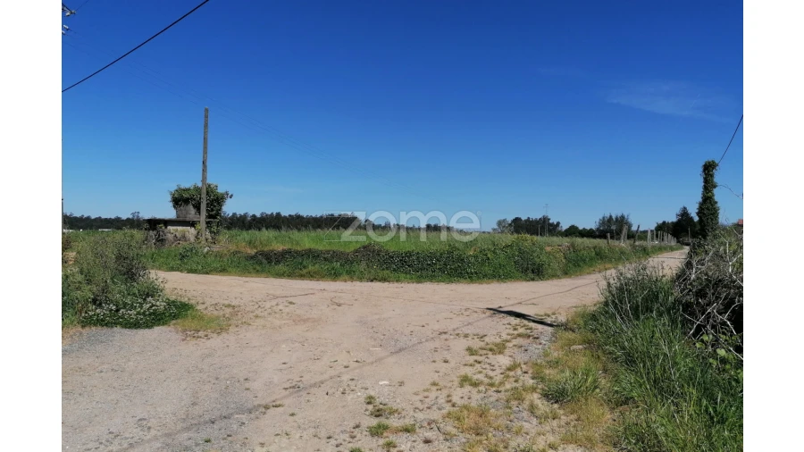 Terreno para Venda em Fradelos Foto 13
