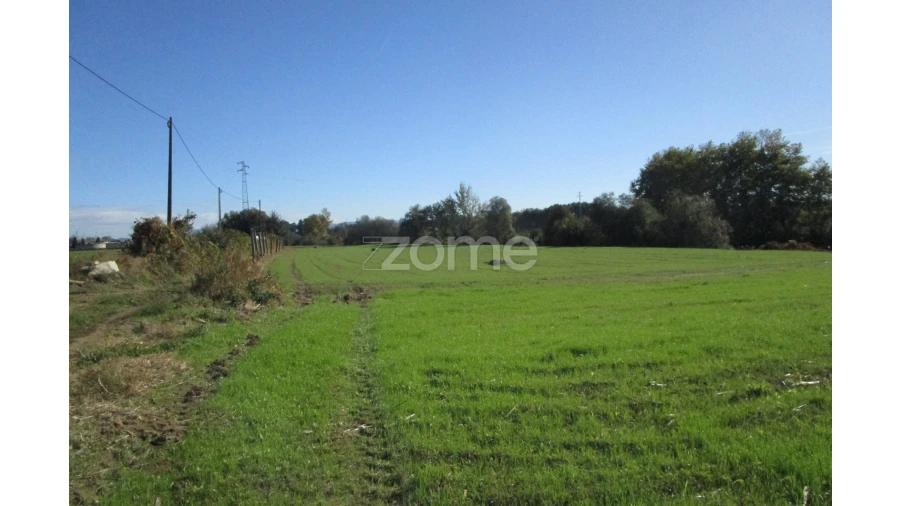 Terreno para Venda em Fradelos Foto 14