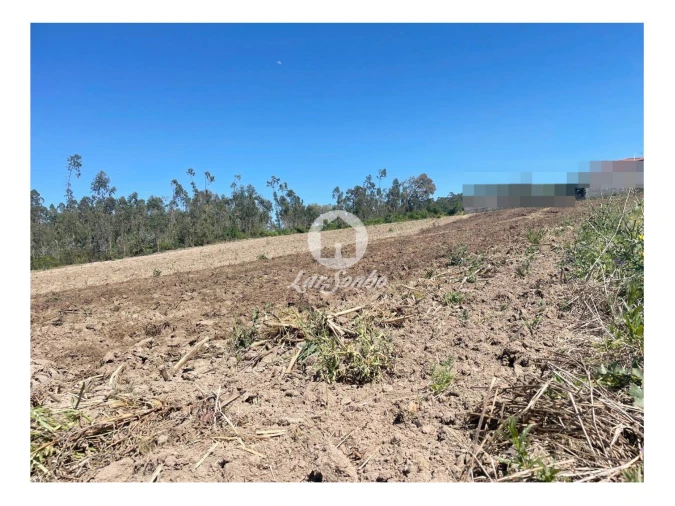 Terreno para Venda em Chorente, Góios, Courel, Pedra Furada e Gueral Foto 2