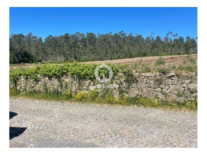 Terreno para Venda em Chorente, Góios, Courel, Pedra Furada e Gueral Foto 3