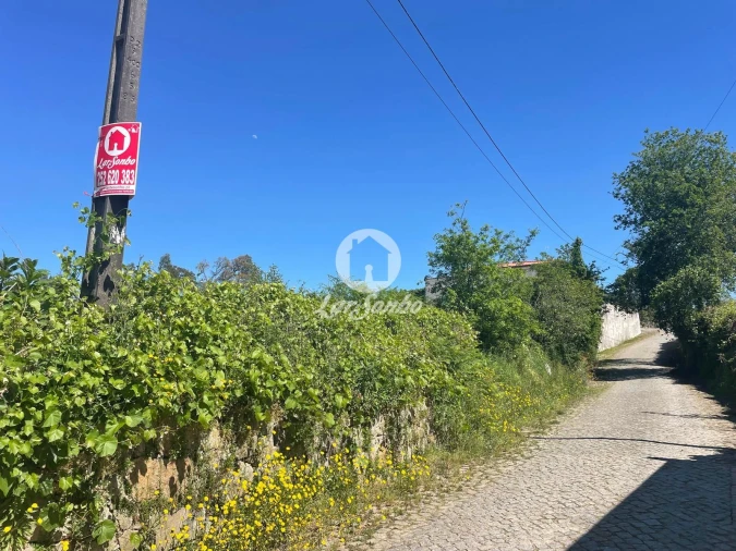 Terreno para Venda em Chorente, Góios, Courel, Pedra Furada e Gueral Foto 5