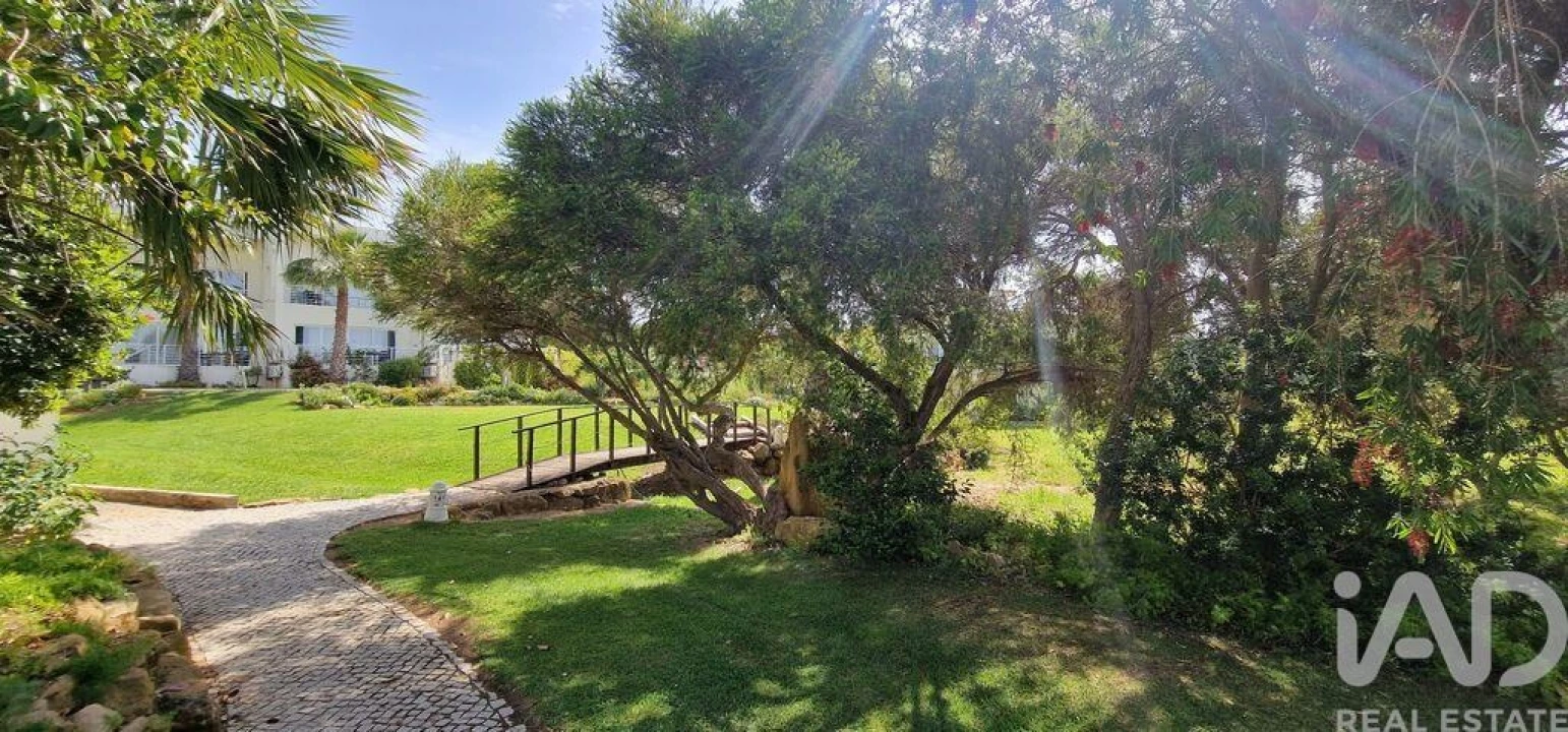 Negócio para Venda em Moncarapacho e Fuseta Foto 25