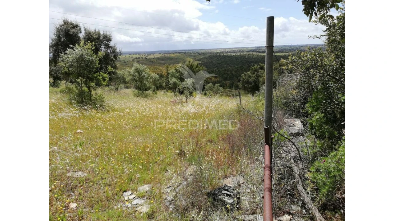 Terreno para Venda em Montalvão Foto 2