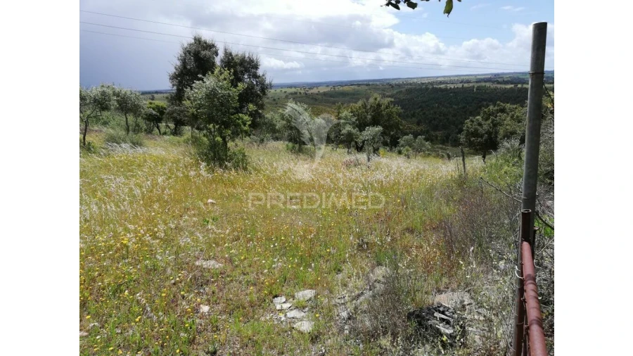 Terreno para Venda em Montalvão Foto 1