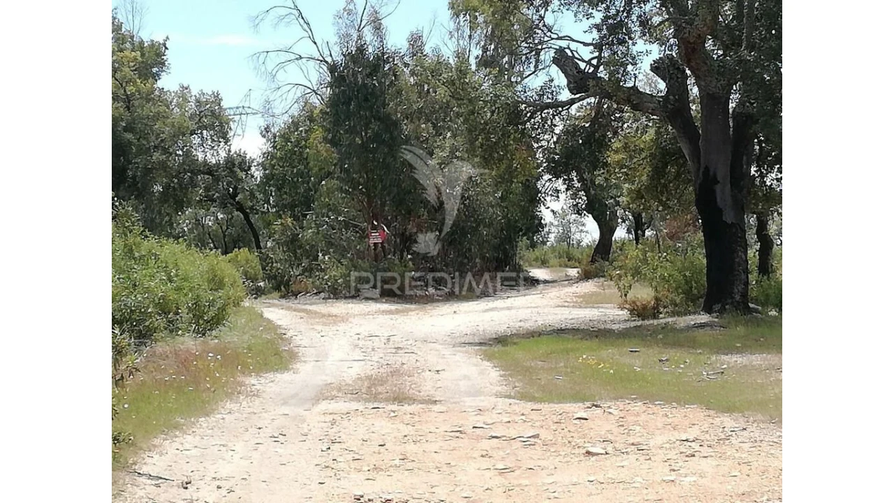Terreno para Venda em Montalvão Foto 5