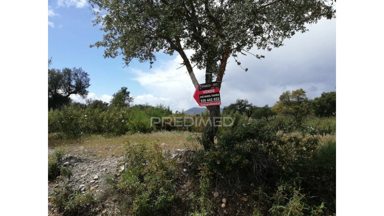 Terreno para Venda em Montalvão Foto 4