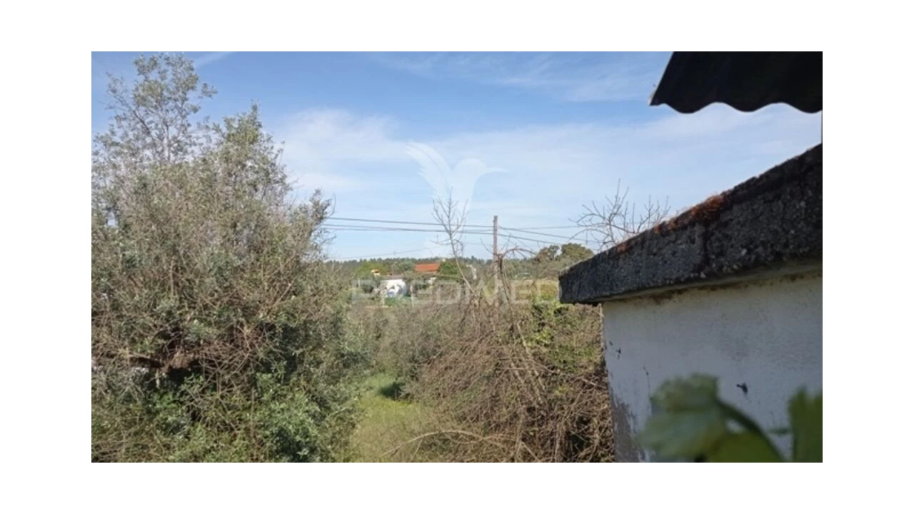 Moradia T2 para Venda em Alvega e Concavada Foto 5