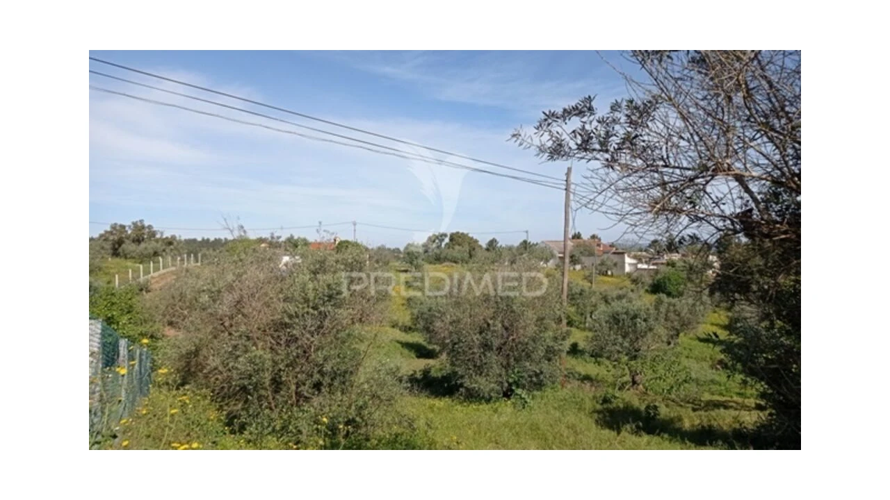 Moradia T2 para Venda em Alvega e Concavada Foto 7