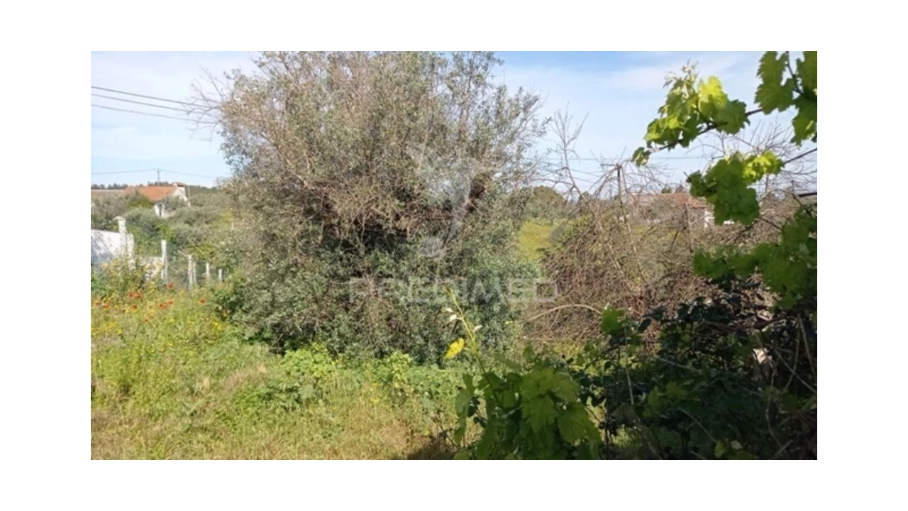 Moradia T2 para Venda em Alvega e Concavada Foto 4