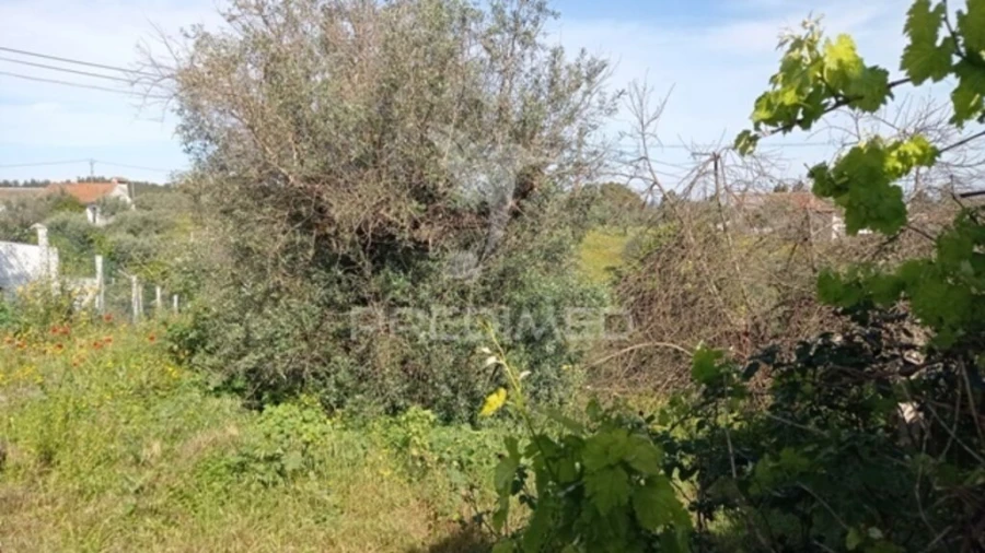 Moradia T2 para Venda em Alvega e Concavada Foto 4