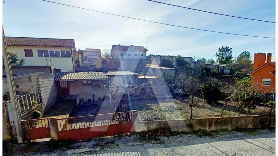 Terreno para Venda em Tavares (Chãs, Várzea e Travanca) Foto 3