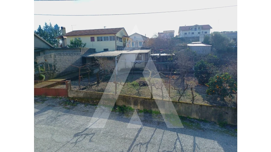 Terreno para Venda em Tavares (Chãs, Várzea e Travanca) Foto 4