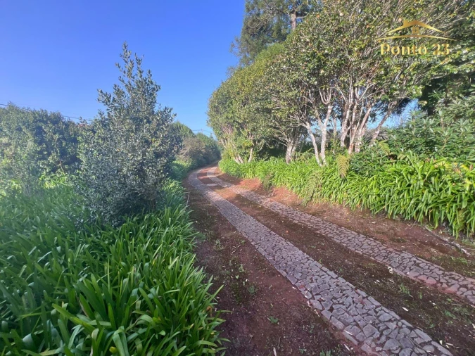 Moradia T6 para Venda em Caniço Foto 12