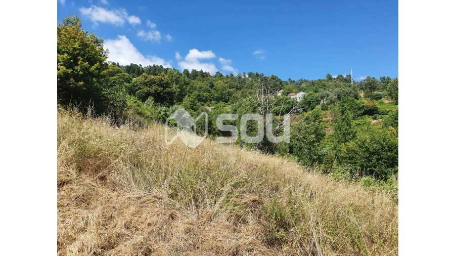 Apartamento T0 para Venda em Santa Cruz do Douro e São Tomé de Covelas Foto 2