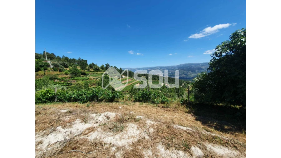 Apartamento T0 para Venda em Santa Cruz do Douro e São Tomé de Covelas Foto 10