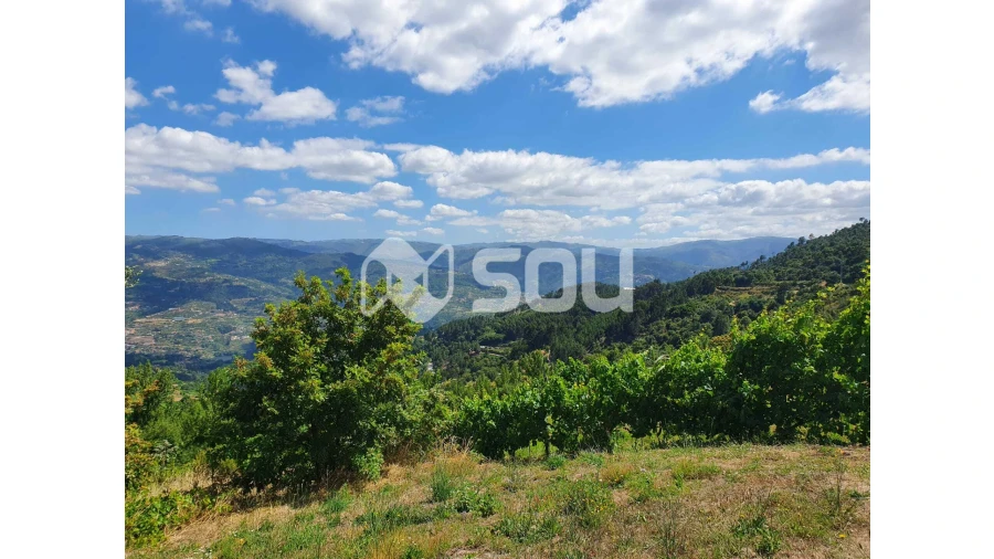 Apartamento T0 para Venda em Santa Cruz do Douro e São Tomé de Covelas
