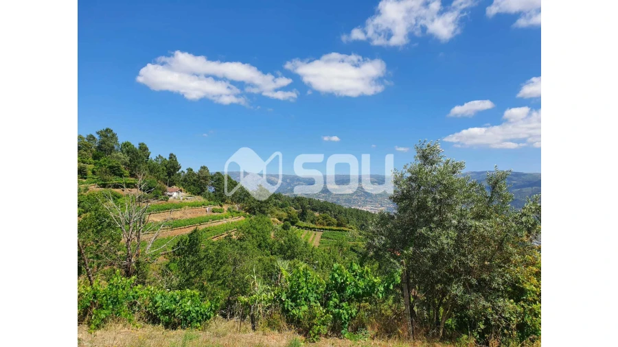 Apartamento T0 para Venda em Santa Cruz do Douro e São Tomé de Covelas Foto 3