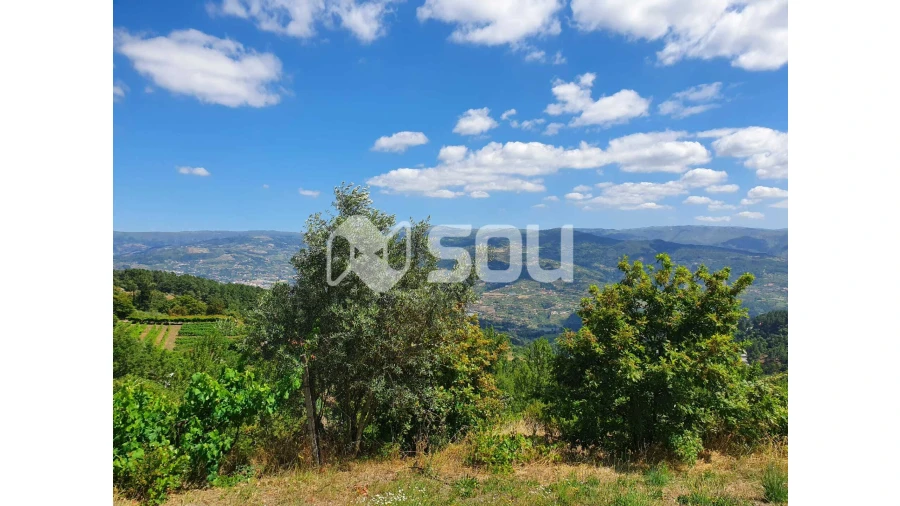 Apartamento T0 para Venda em Santa Cruz do Douro e São Tomé de Covelas Foto 4