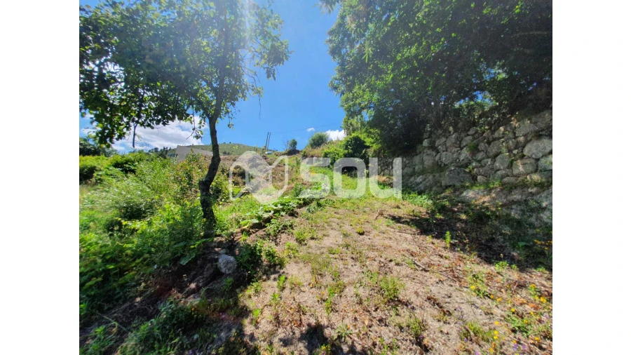 Apartamento T0 para Venda em Santa Cruz do Douro e São Tomé de Covelas Foto 6