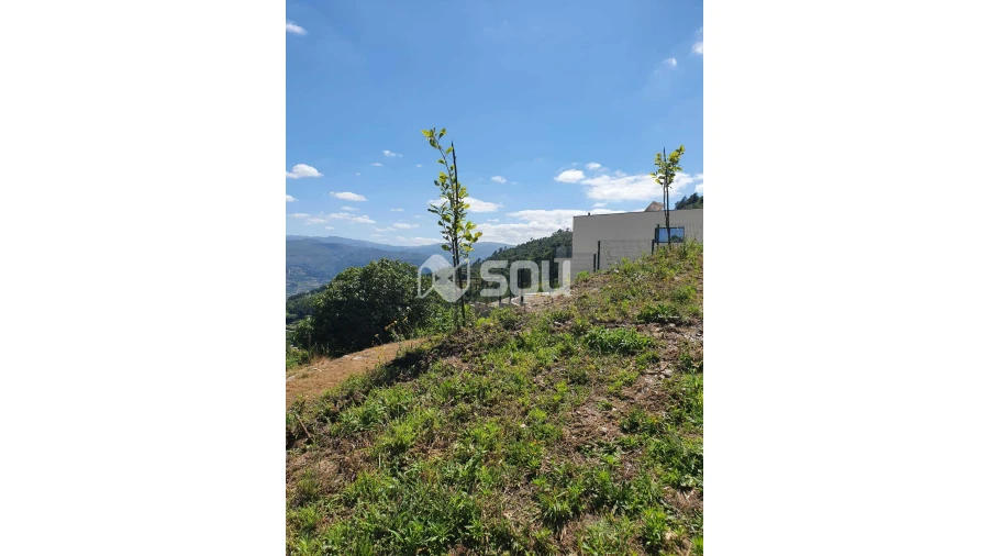 Apartamento T0 para Venda em Santa Cruz do Douro e São Tomé de Covelas Foto 7