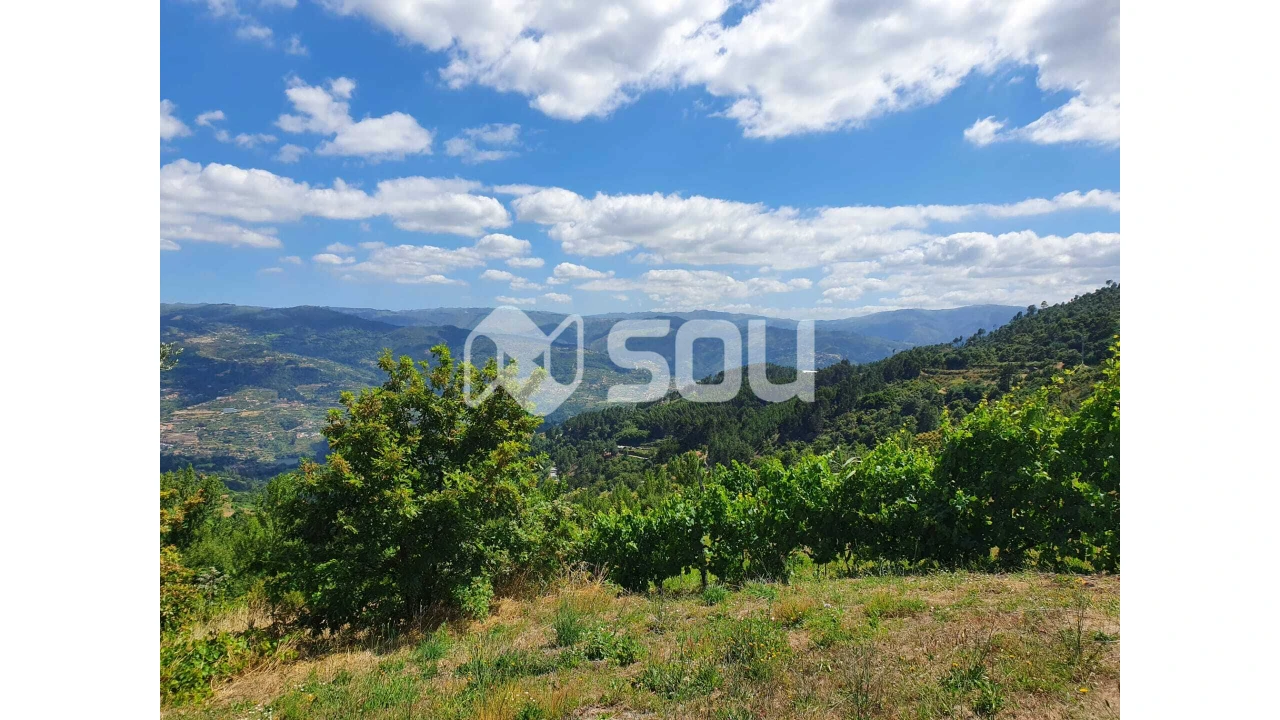 Apartamento T0 para Venda em Santa Cruz do Douro e São Tomé de Covelas Foto 1