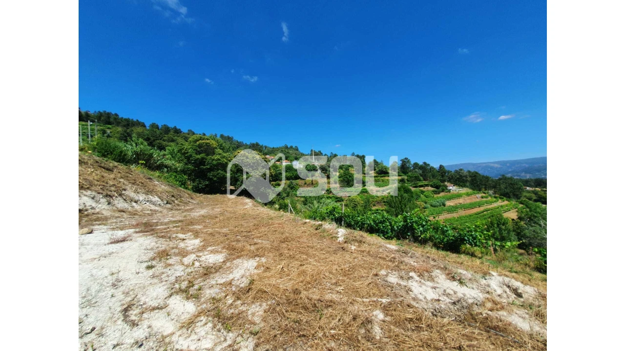 Apartamento T0 para Venda em Santa Cruz do Douro e São Tomé de Covelas Foto 8