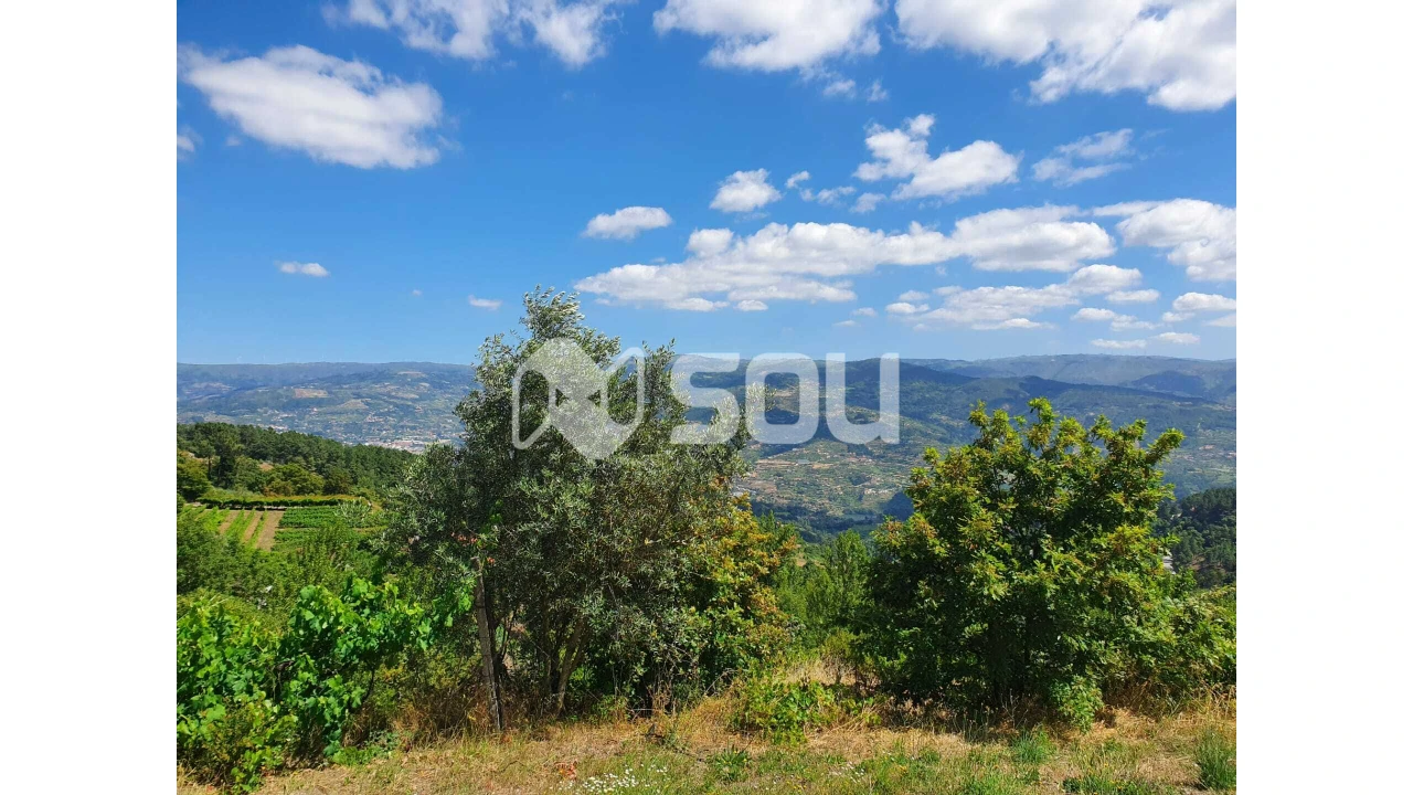 Apartamento T0 para Venda em Santa Cruz do Douro e São Tomé de Covelas Foto 4