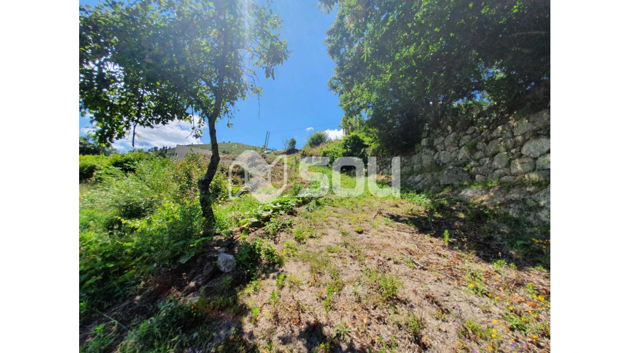 Apartamento T0 para Venda em Santa Cruz do Douro e São Tomé de Covelas Foto 6
