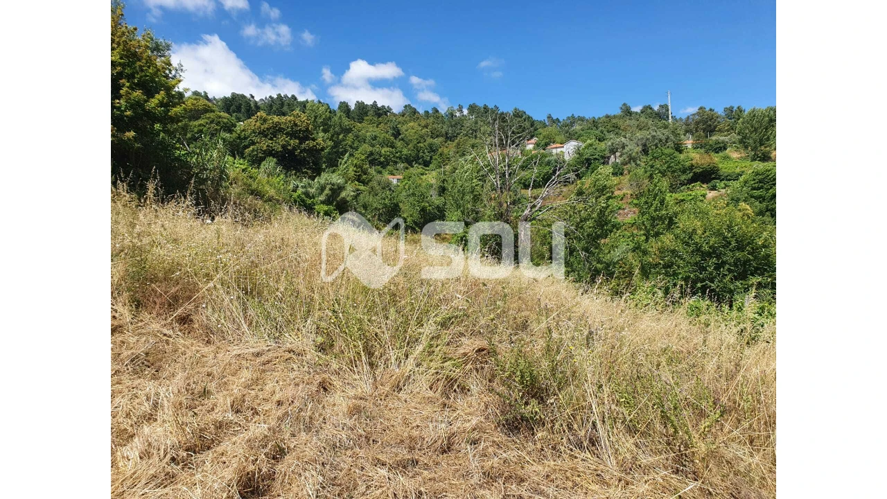 Apartamento T0 para Venda em Santa Cruz do Douro e São Tomé de Covelas Foto 5